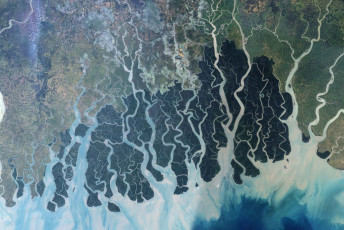 Sundarbans-o